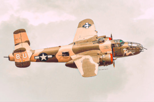 b-25-yellow-rose-5